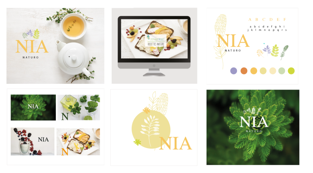 BOOK plaquette-logo NATUROPATHE